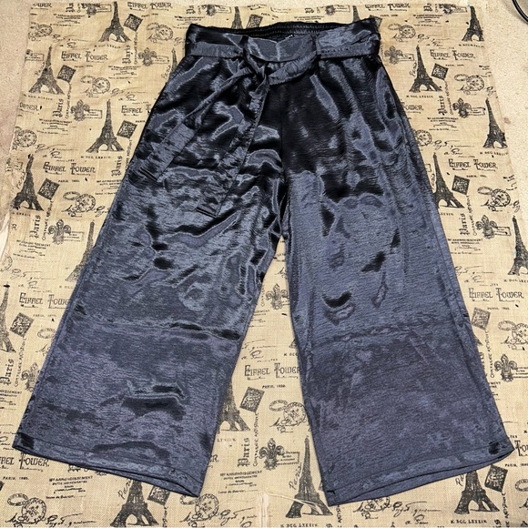 Torrid NWT! Dark Navy Blue Silk Charm Wide Leg Pant Size 2X (18-20) - Picture 2 of 15